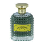 عطرادوپرفیوم مردانه کریستین وروچی مدل Mega Summer حجم 100 میلی لیتر
